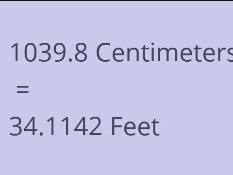 1039.8 CM TO FEET