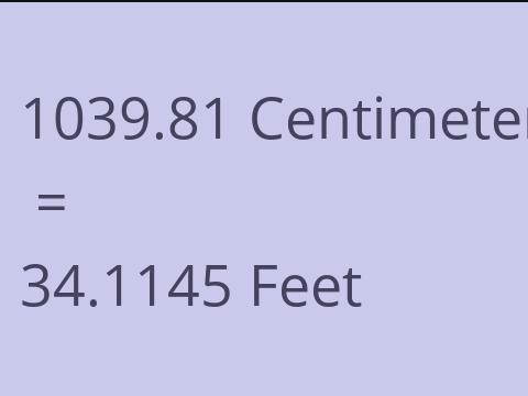 1039.81 CM TO FEET