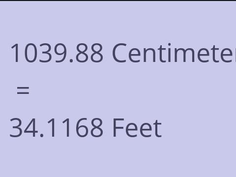 1039.88 CM TO FEET