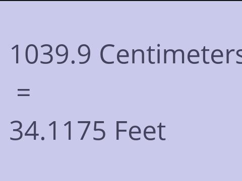 1039.9 CM TO FEET