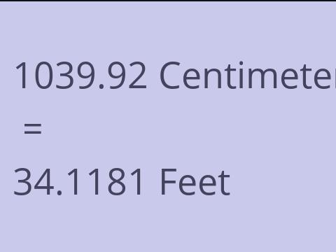 1039.92 CM TO FEET