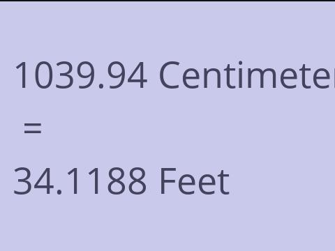 1039.94 CM TO FEET