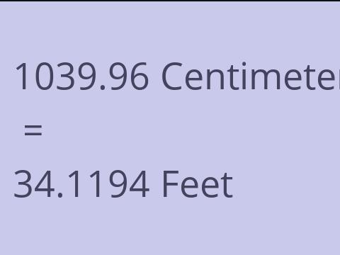 1039.96 CM TO FEET