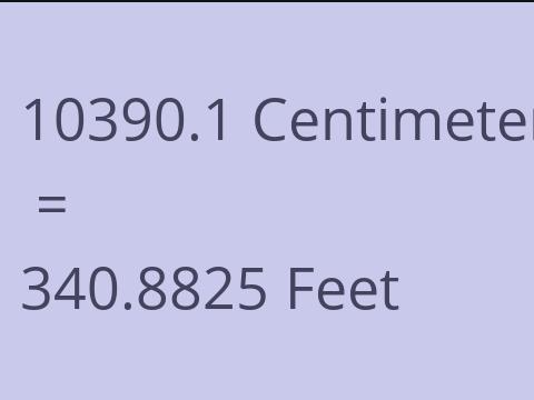 10390.1 CM TO FEET