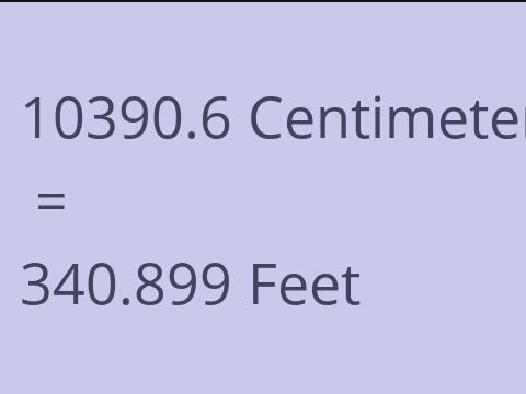 10390.6 CM TO FEET