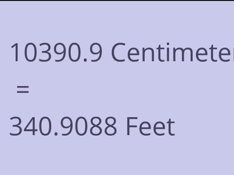 10390.9 CM TO FEET