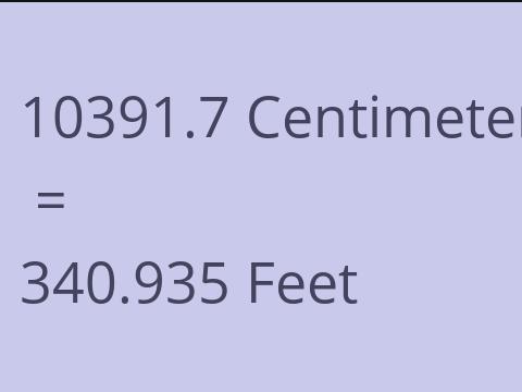 10391.7 CM TO FEET