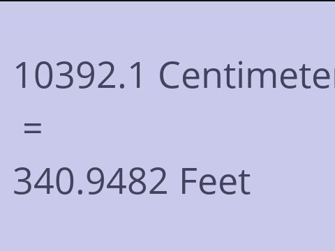 10392.1 CM TO FEET