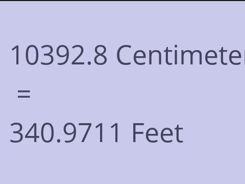 10392.8 CM TO FEET