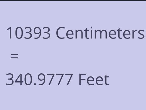 10393 CM TO FEET
