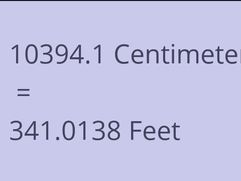 10394.1 CM TO FEET