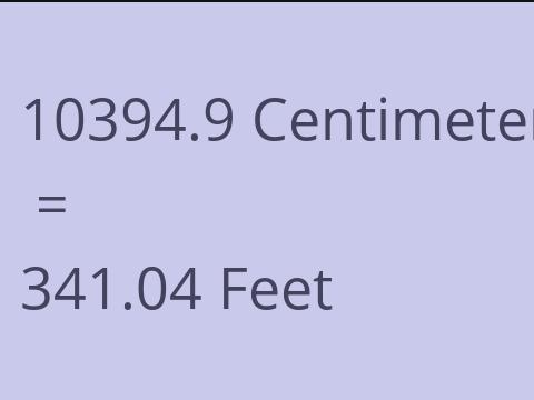 10394.9 CM TO FEET