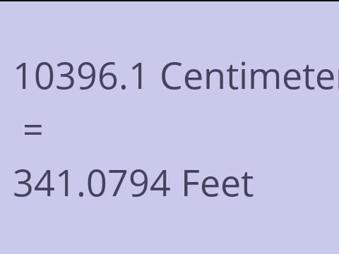 10396.1 CM TO FEET