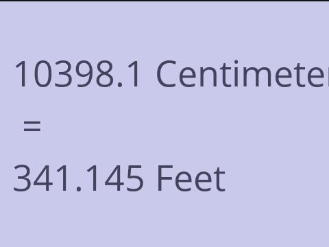 10398.1 CM TO FEET