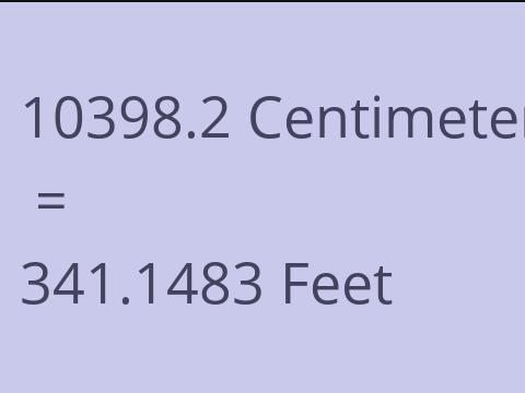 10398.2 CM TO FEET