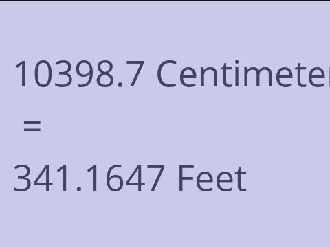 10398.7 CM TO FEET