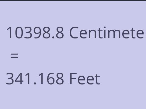 10398.8 CM TO FEET