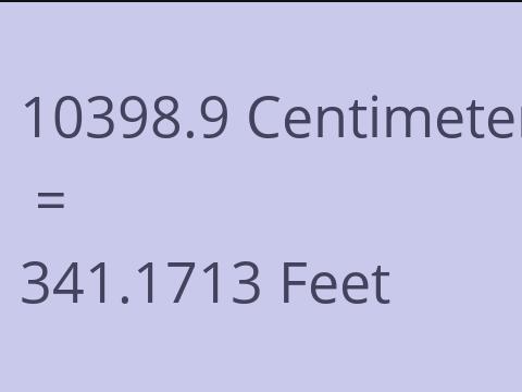 10398.9 CM TO FEET