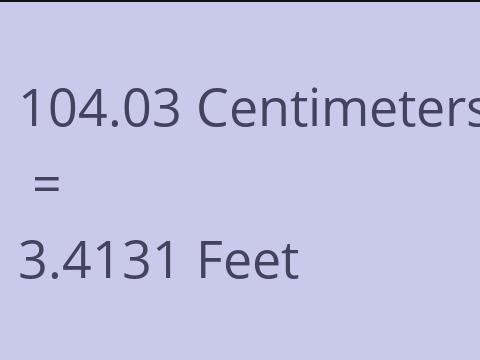 104.03 CM TO FEET