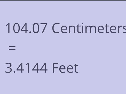 104.07 CM TO FEET