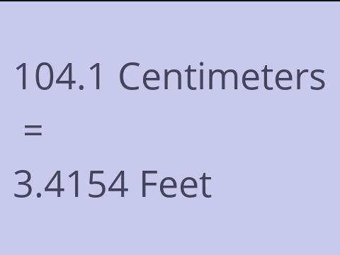 104.1 CM TO FEET