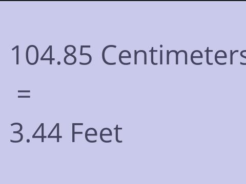 104.85 CM TO FEET