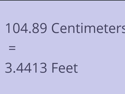 104.89 CM TO FEET