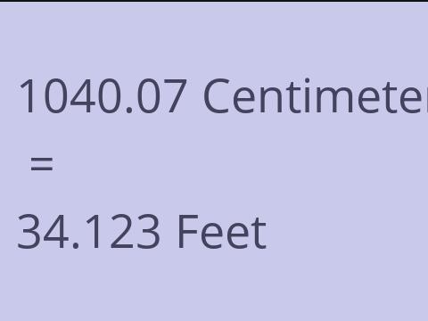 1040.07 CM TO FEET