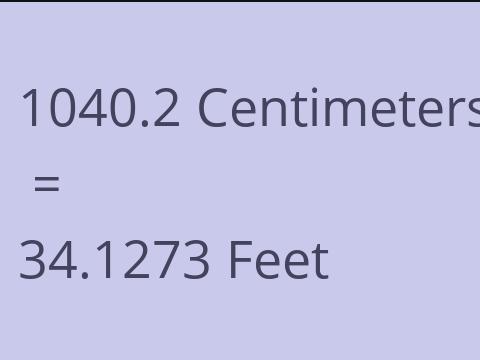 1040.2 CM TO FEET