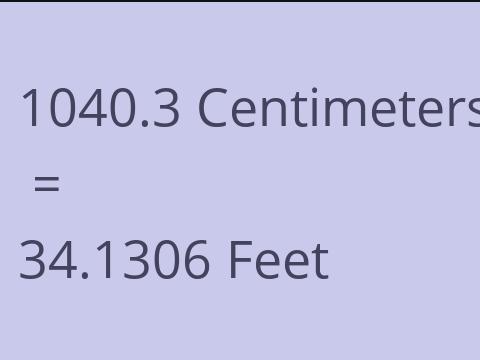 1040.3 CM TO FEET