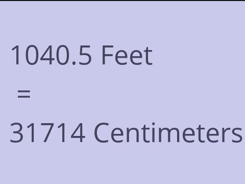 1040.5 FEET TO CM