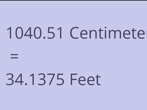 1040.51 CM TO FEET