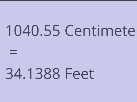 1040.55 CM TO FEET