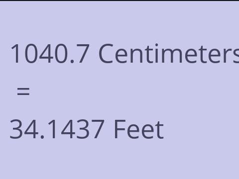 1040.7 CM TO FEET