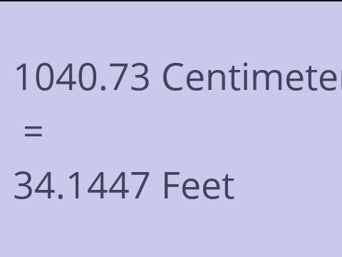 1040.73 CM TO FEET