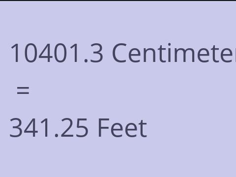 10401.3 CM TO FEET