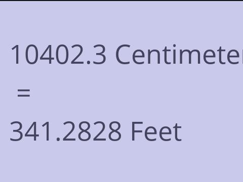 10402.3 CM TO FEET