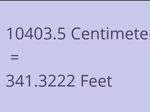 10403.5 CM TO FEET