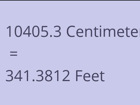10405.3 CM TO FEET