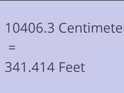 10406.3 CM TO FEET