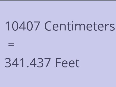 10407 CM TO FEET