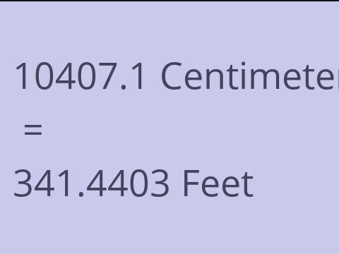 10407.1 CM TO FEET