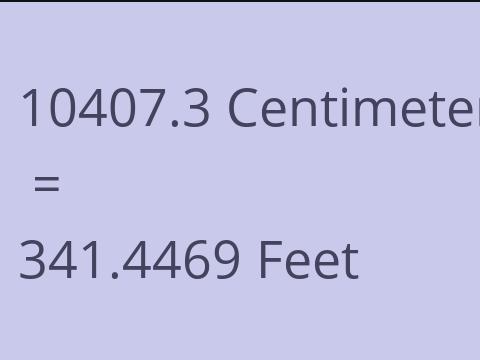 10407.3 CM TO FEET