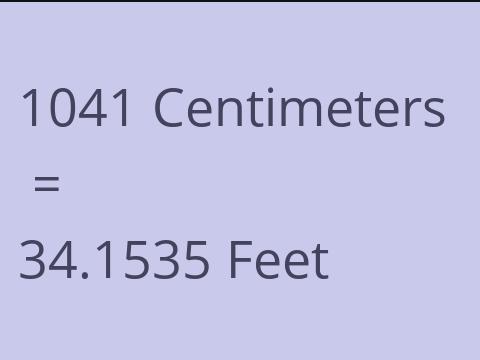 1041 CM TO FEET