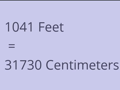 1041 FEET TO CM