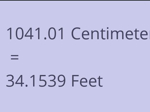 1041.01 CM TO FEET