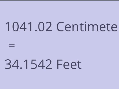 1041.02 CM TO FEET