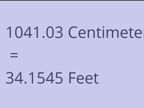 1041.03 CM TO FEET