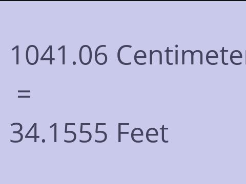 1041.06 CM TO FEET