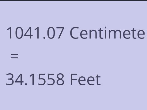 1041.07 CM TO FEET